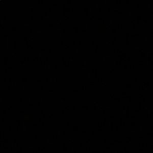 Meet your Posher, Craig